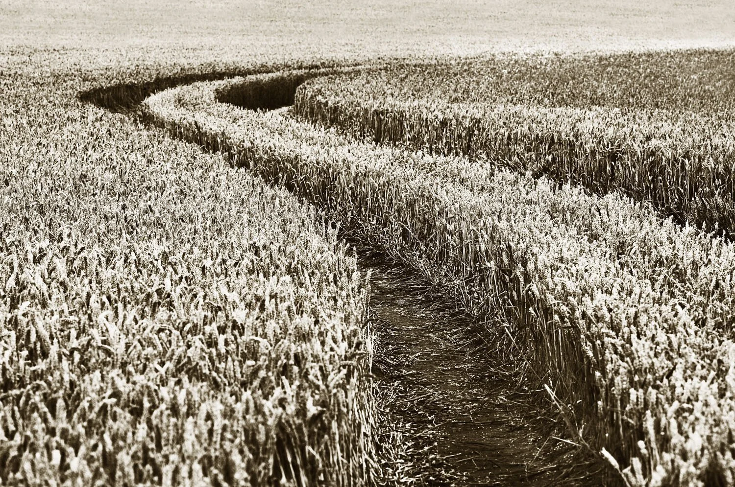 Tracks
