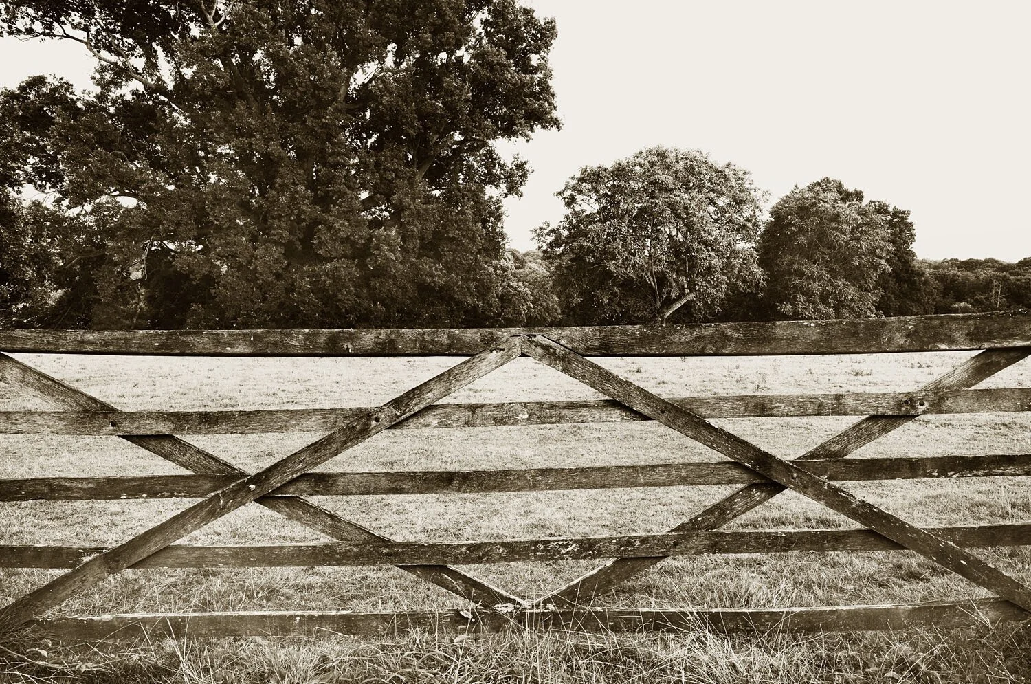5 Bar Gate