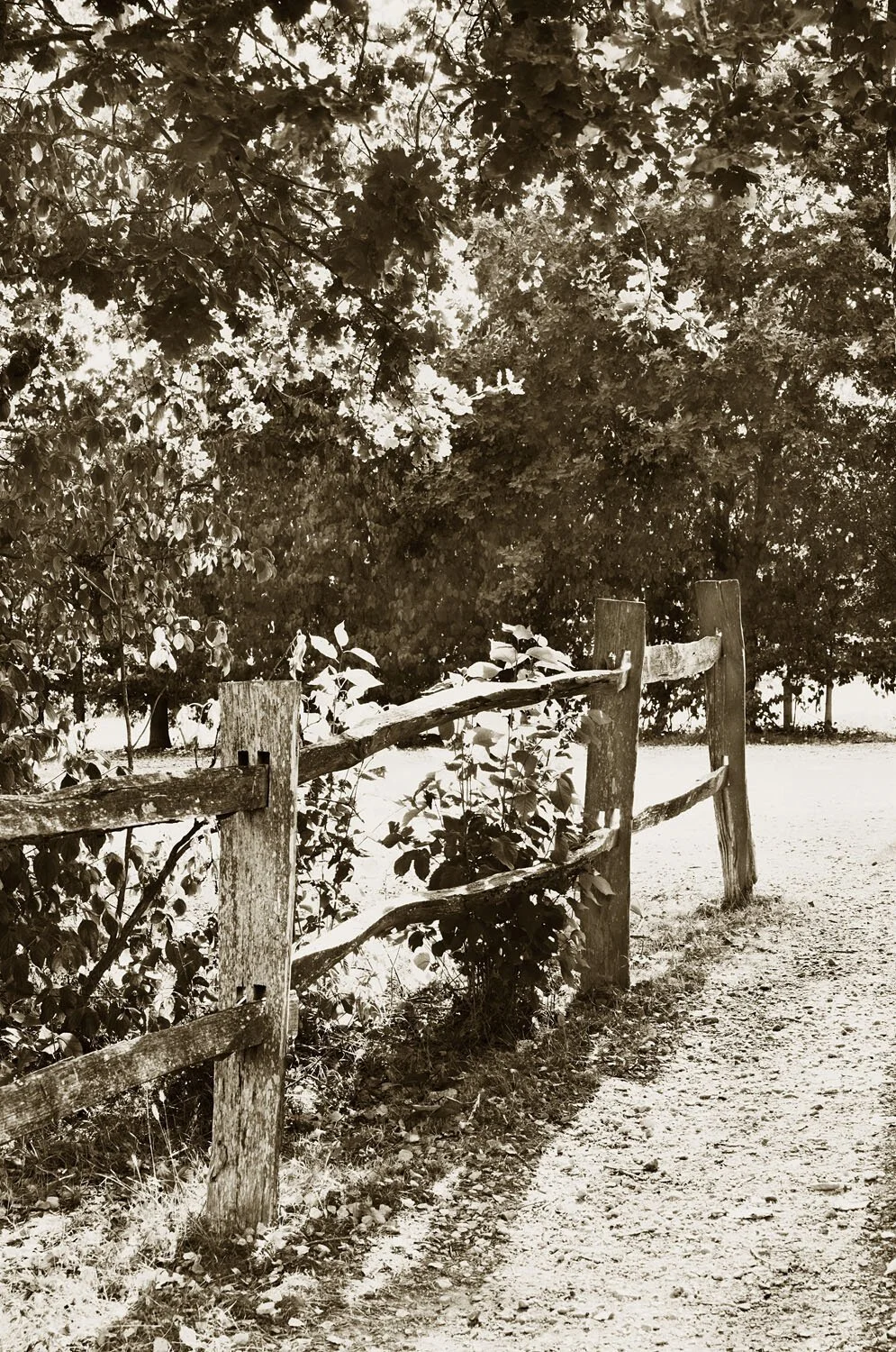 Post and Rail