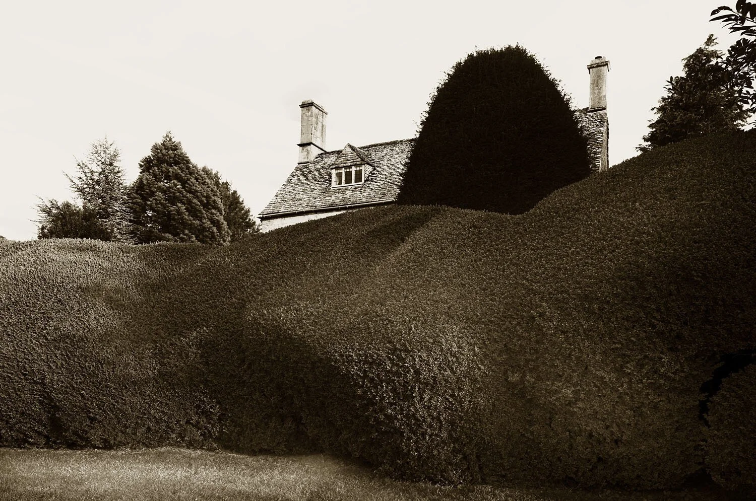 Conduit Hill
