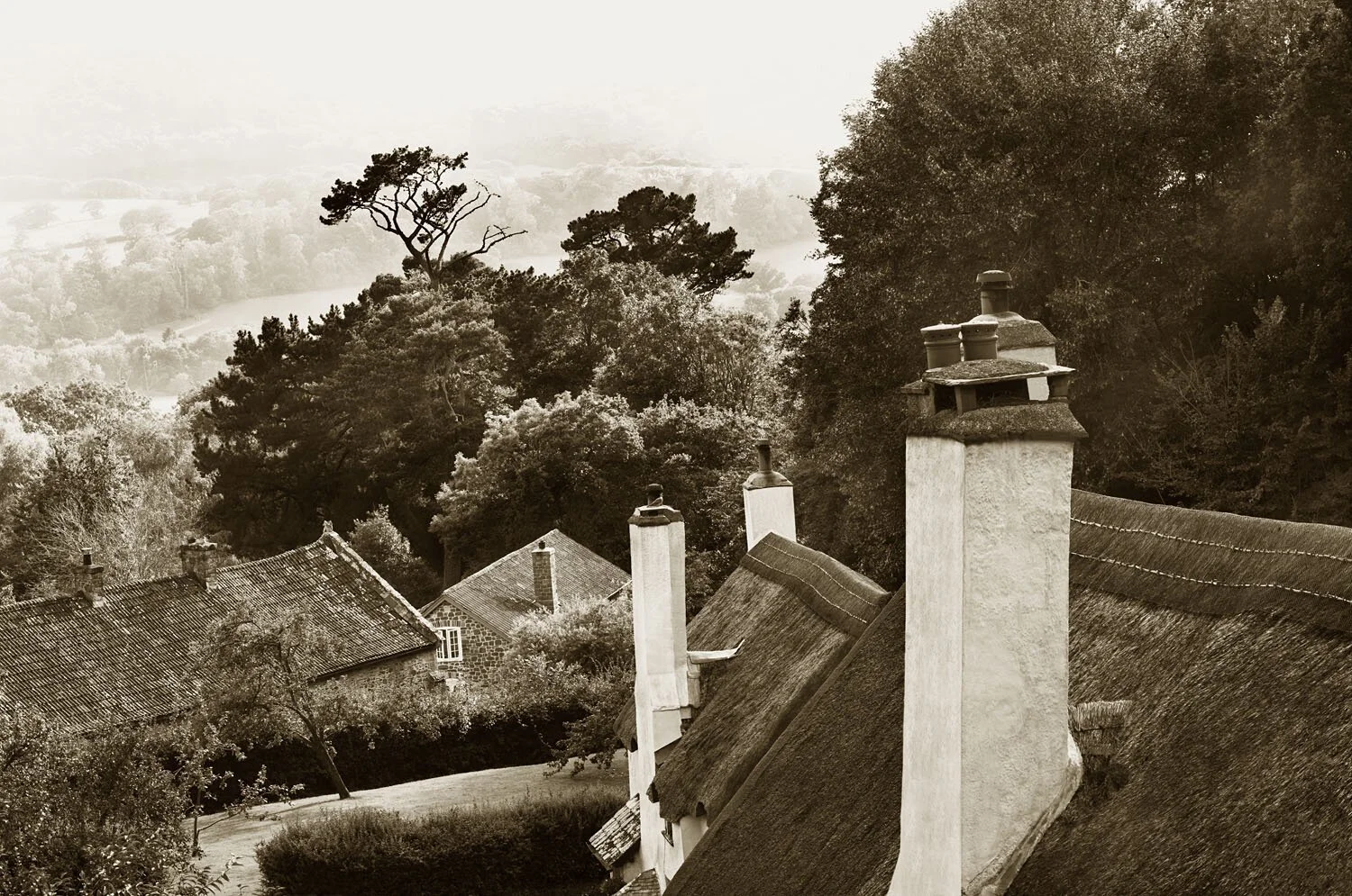 Selworthy