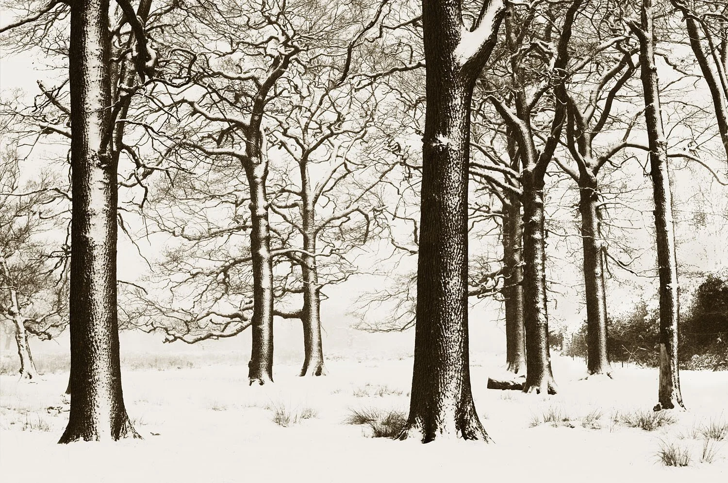 Surrey