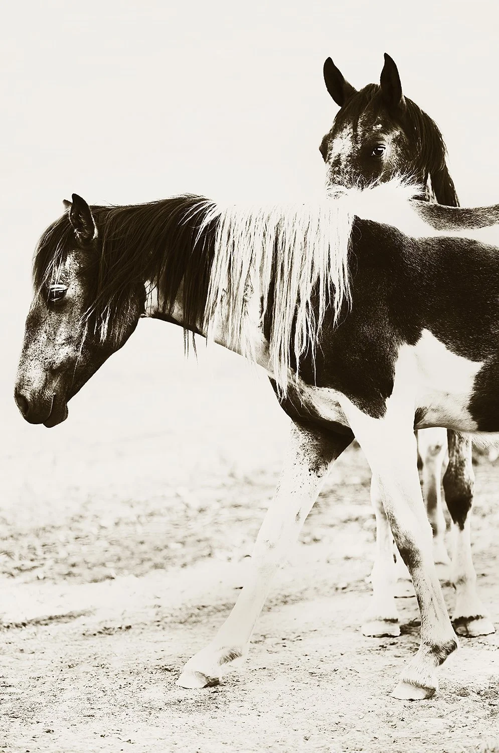 Spirit and Tshela