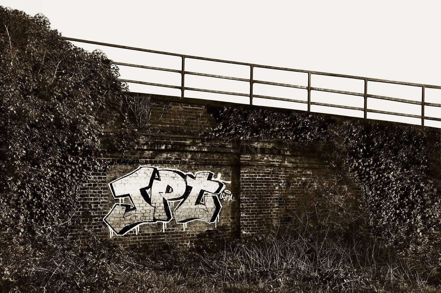 Jpt