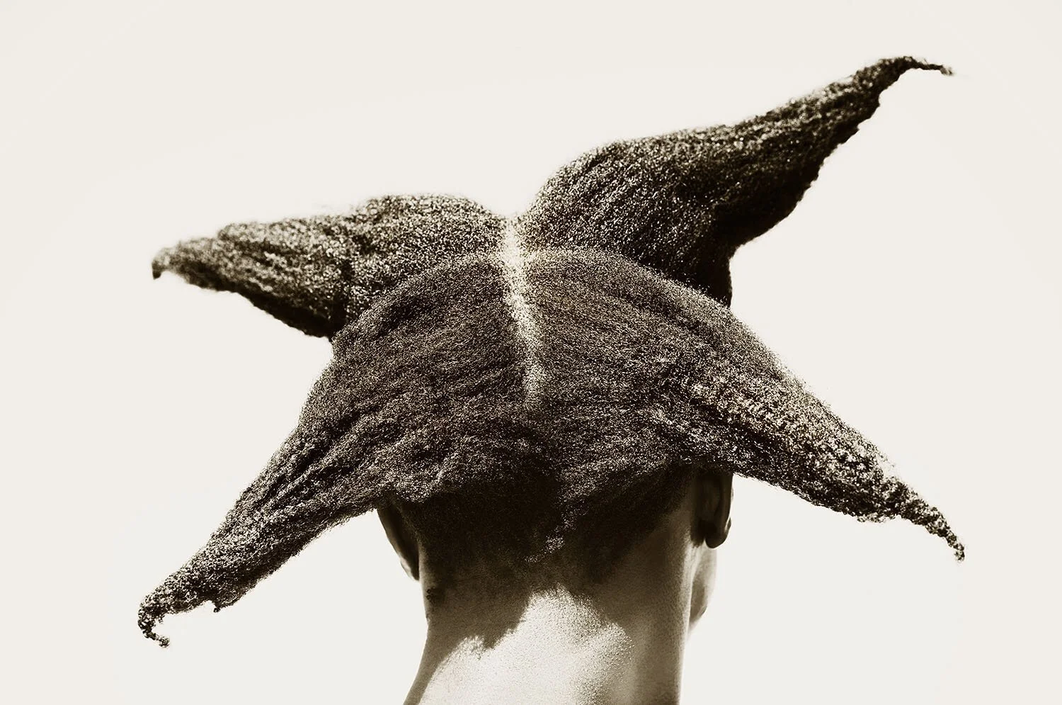 Coiffure