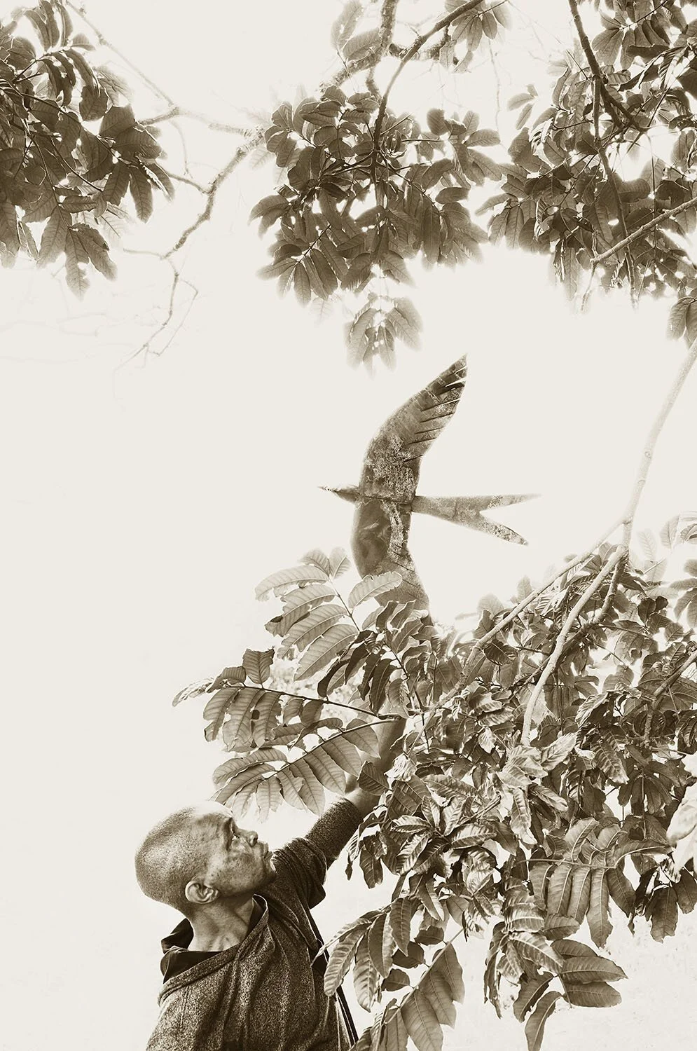 A bird in the hand