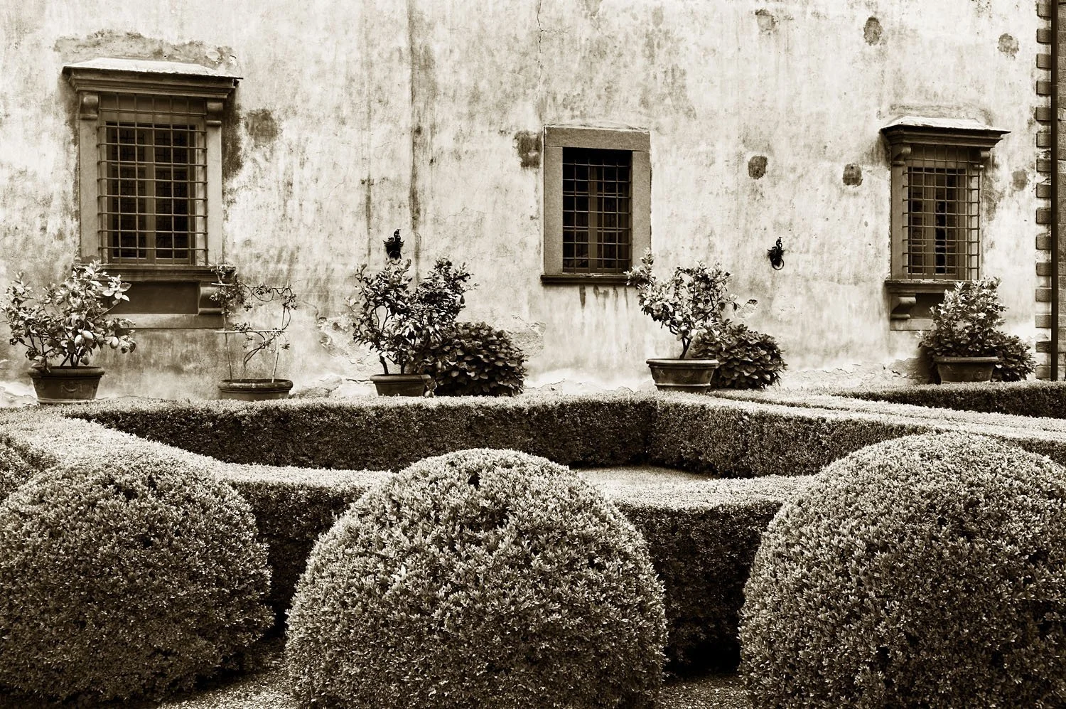 Vignamaggio