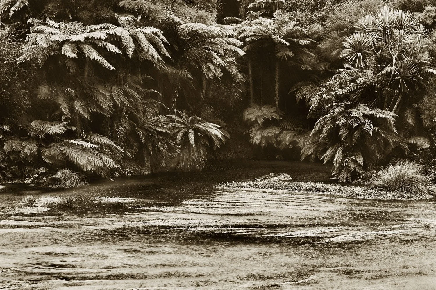 Putaruru