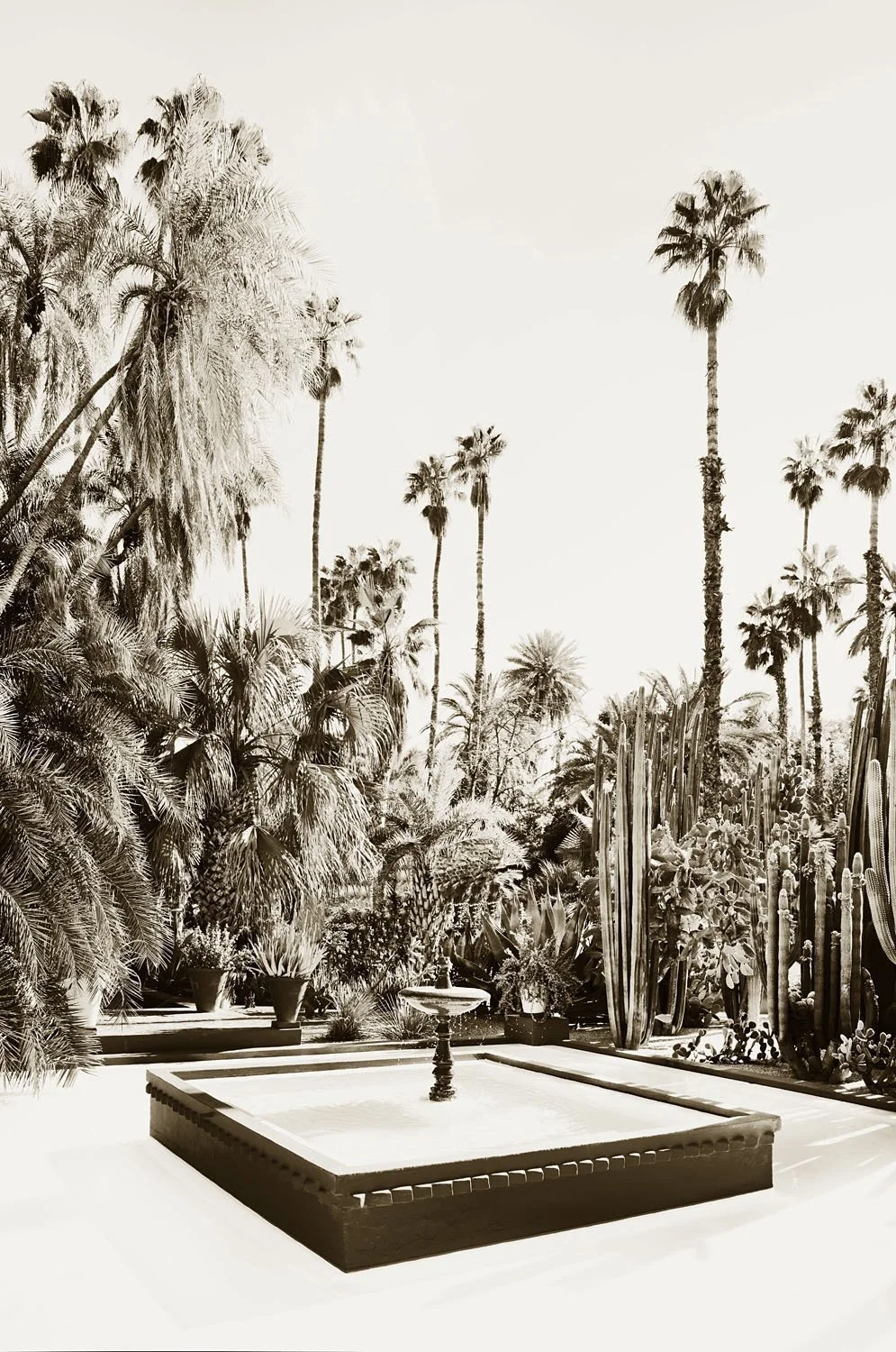 Palm Springs