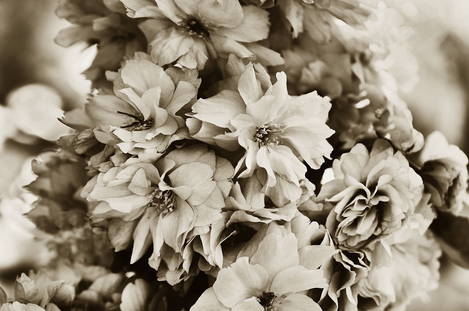 Impermanence