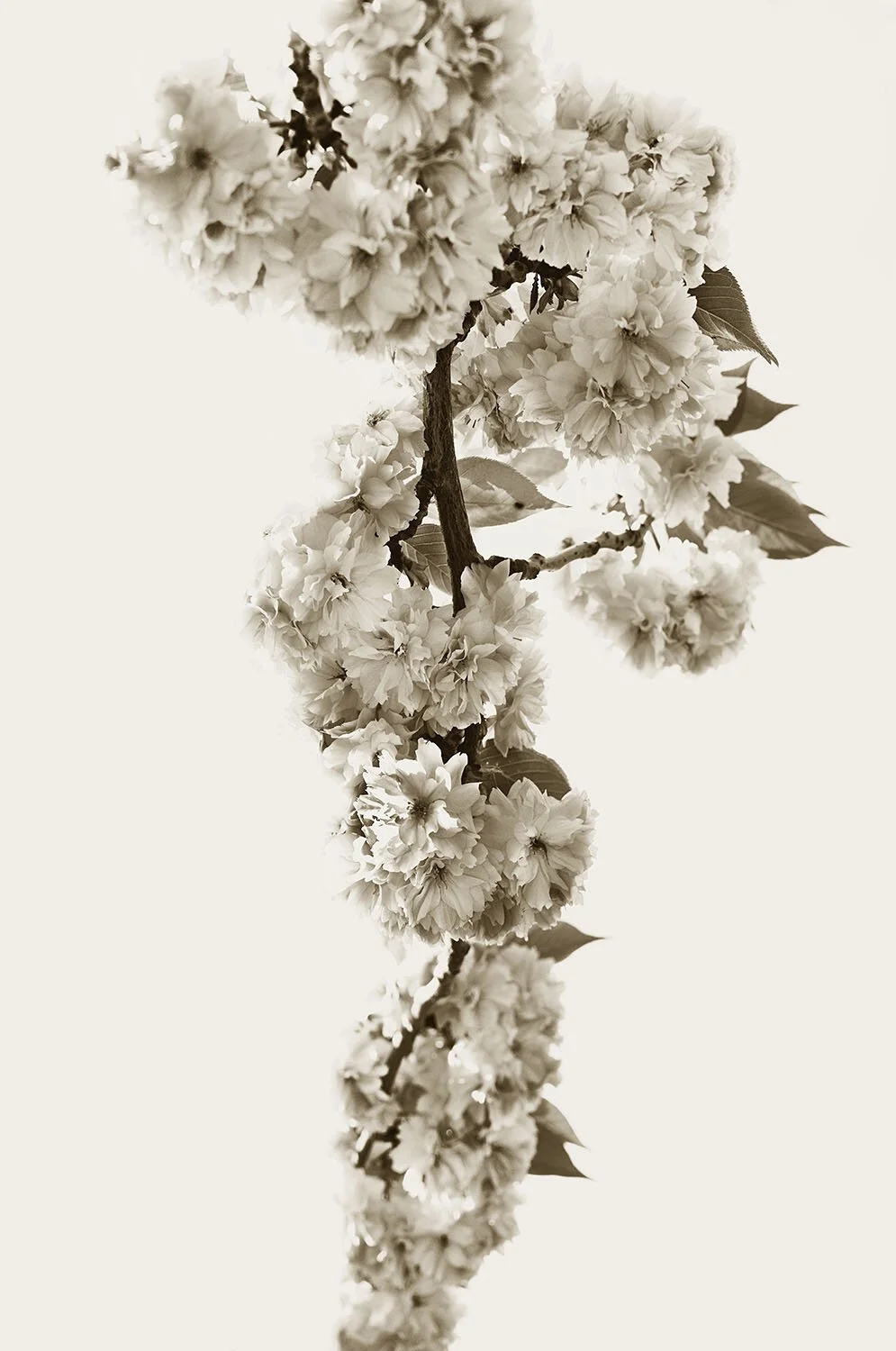 Fragile