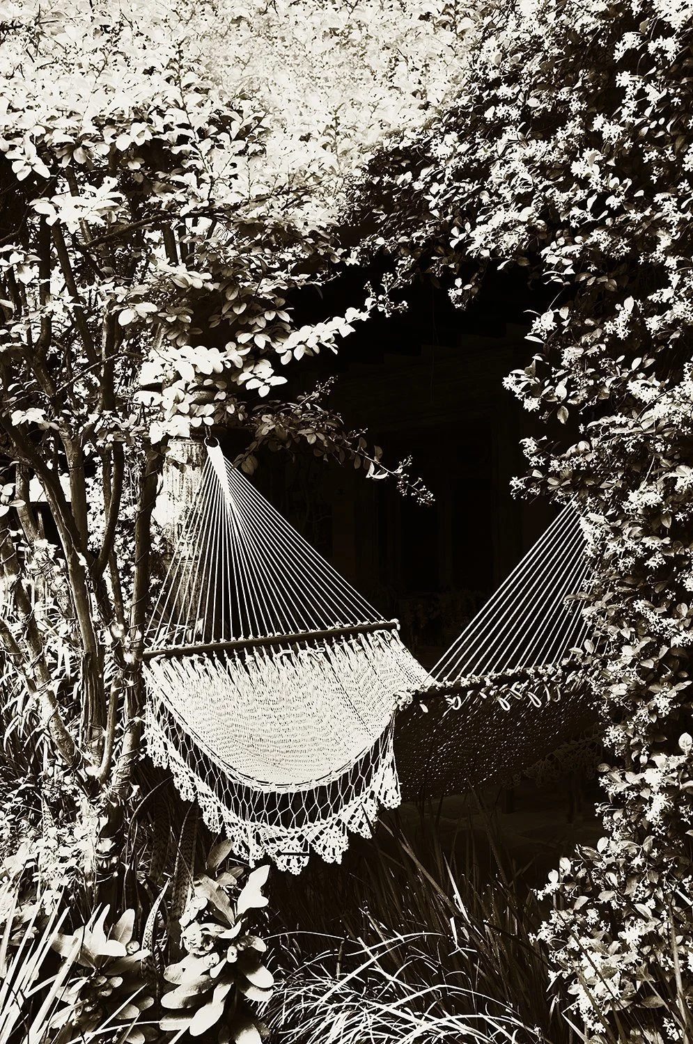 Rafa's hammock