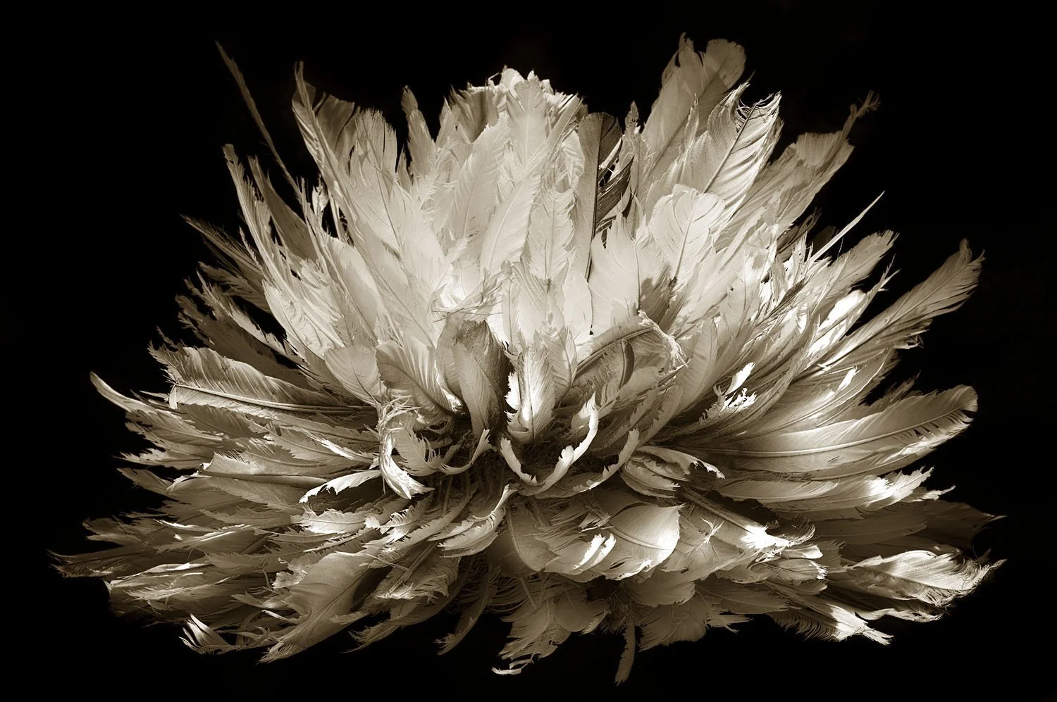 Bamileke ceremonial 3