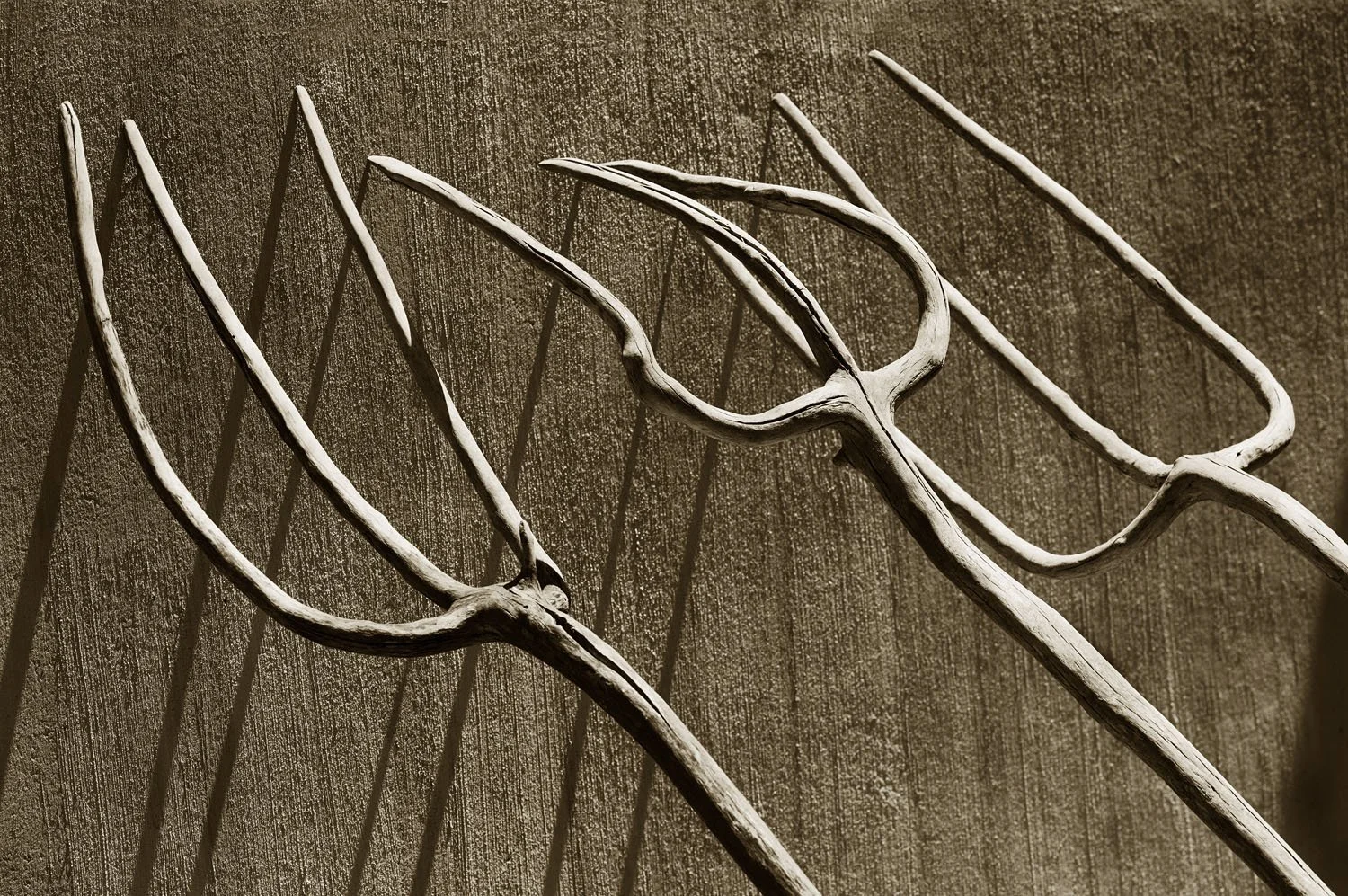 Forks