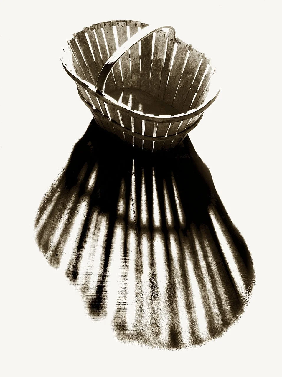 Vegetable Basket
