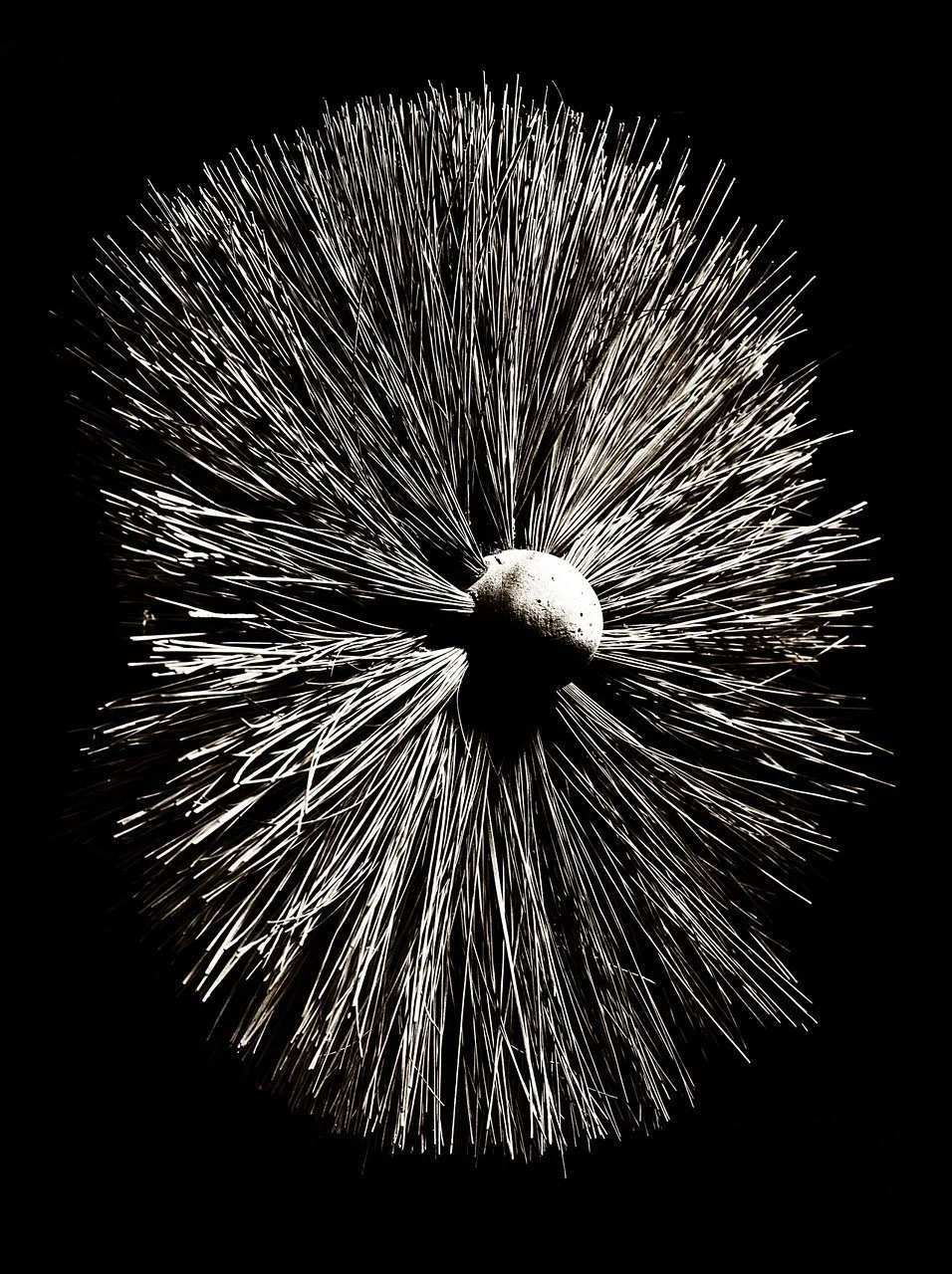 Sweep's Brush