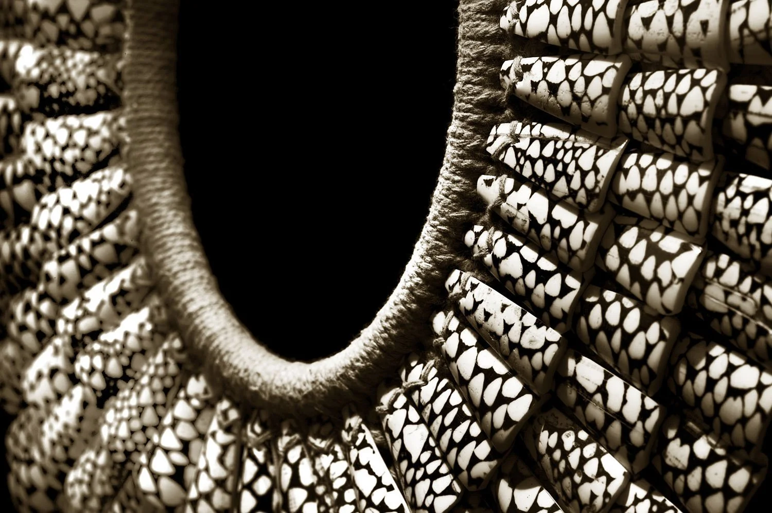 marbled cone