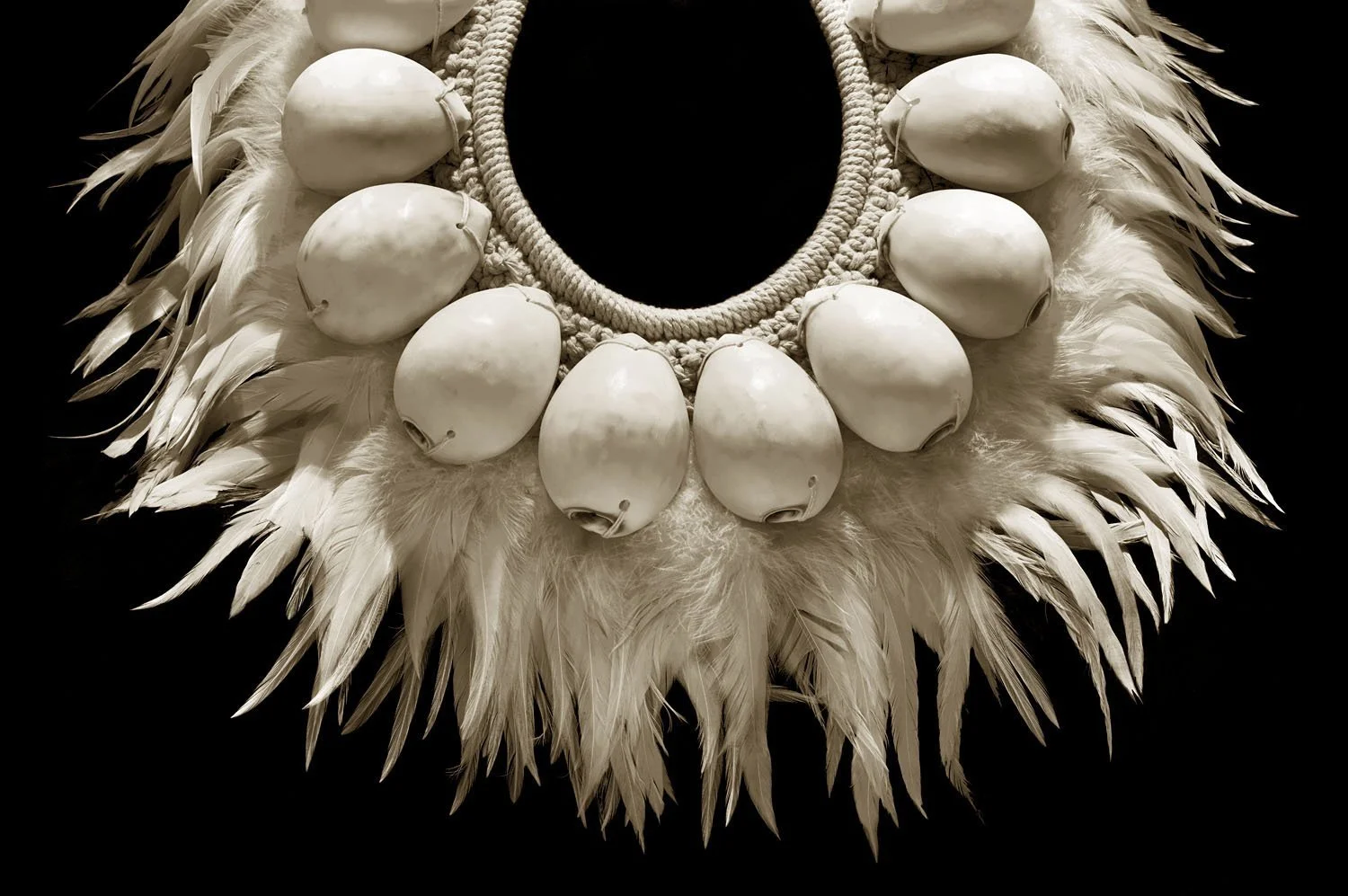 Cowrie and Feather