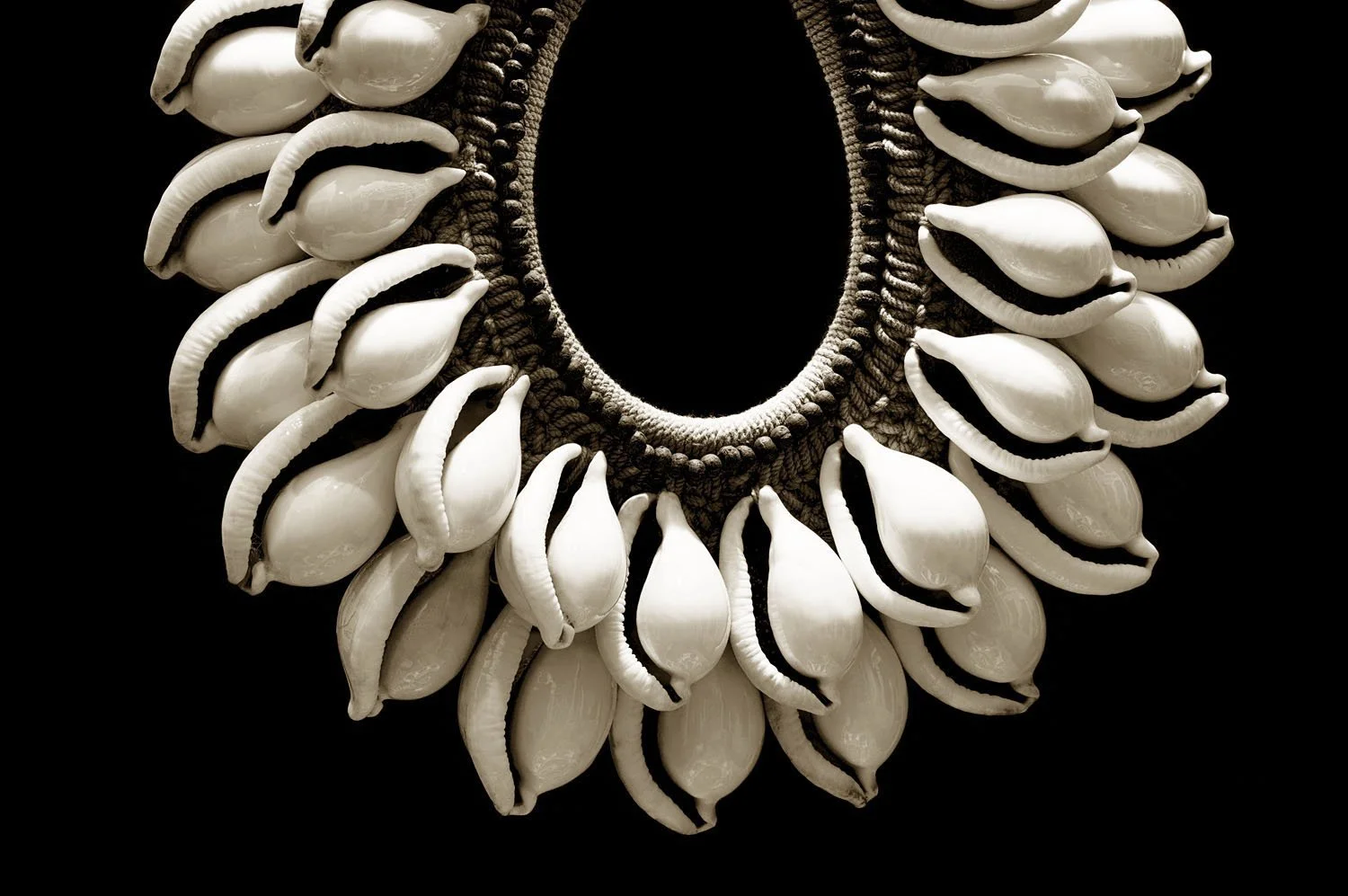 Cowrie
