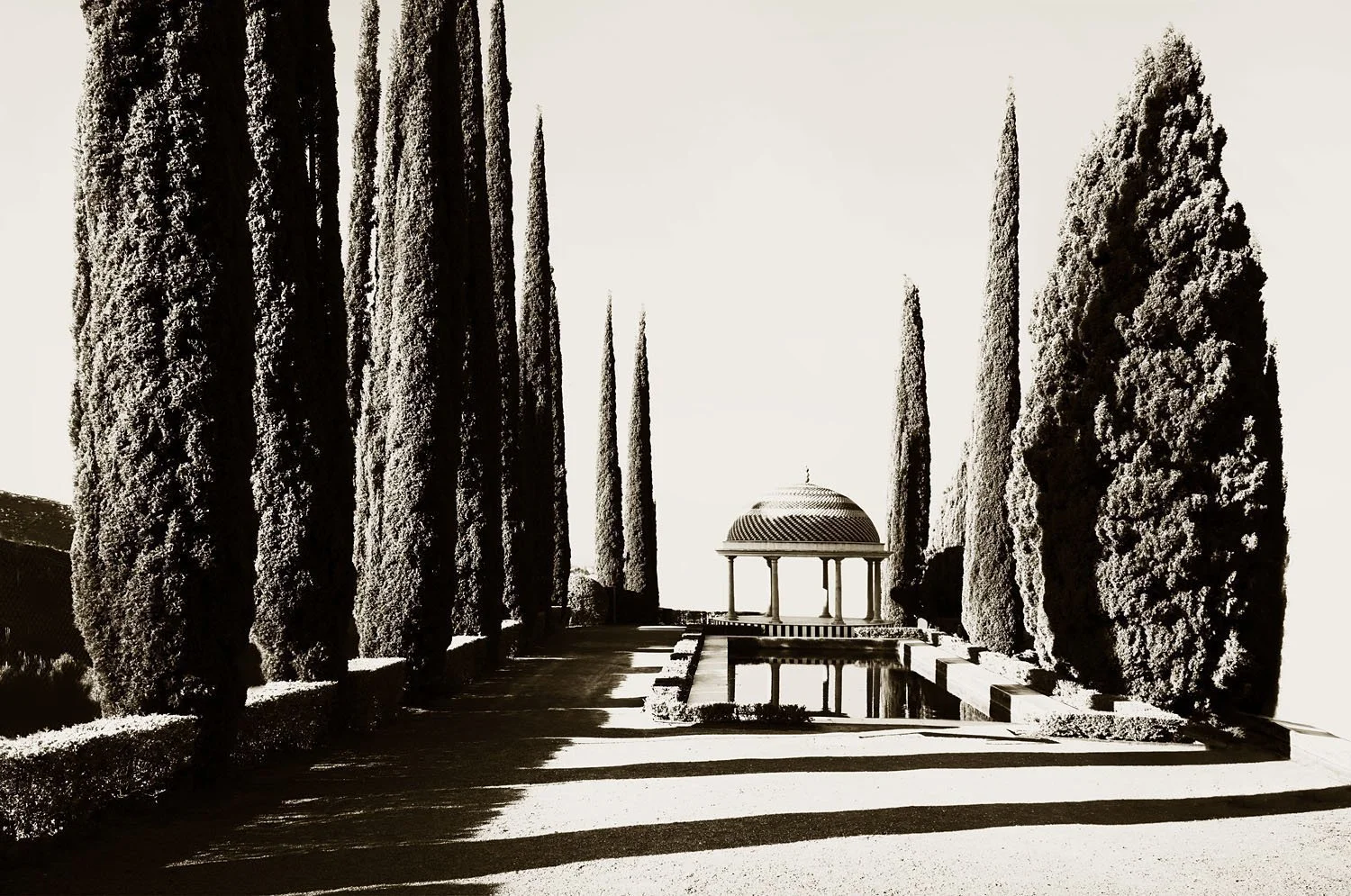 Dome
