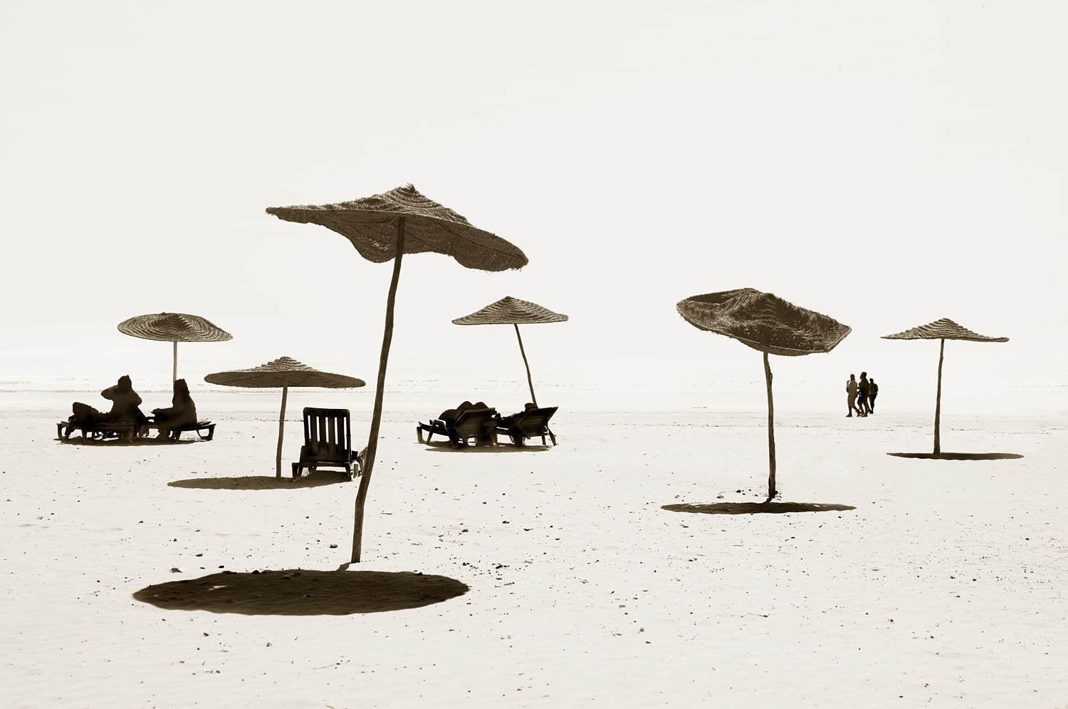 Beach Brollies