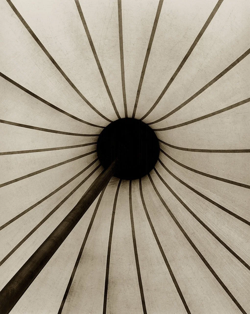 Flower Tent