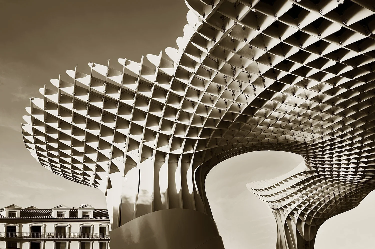 Setas de Sevilla 3