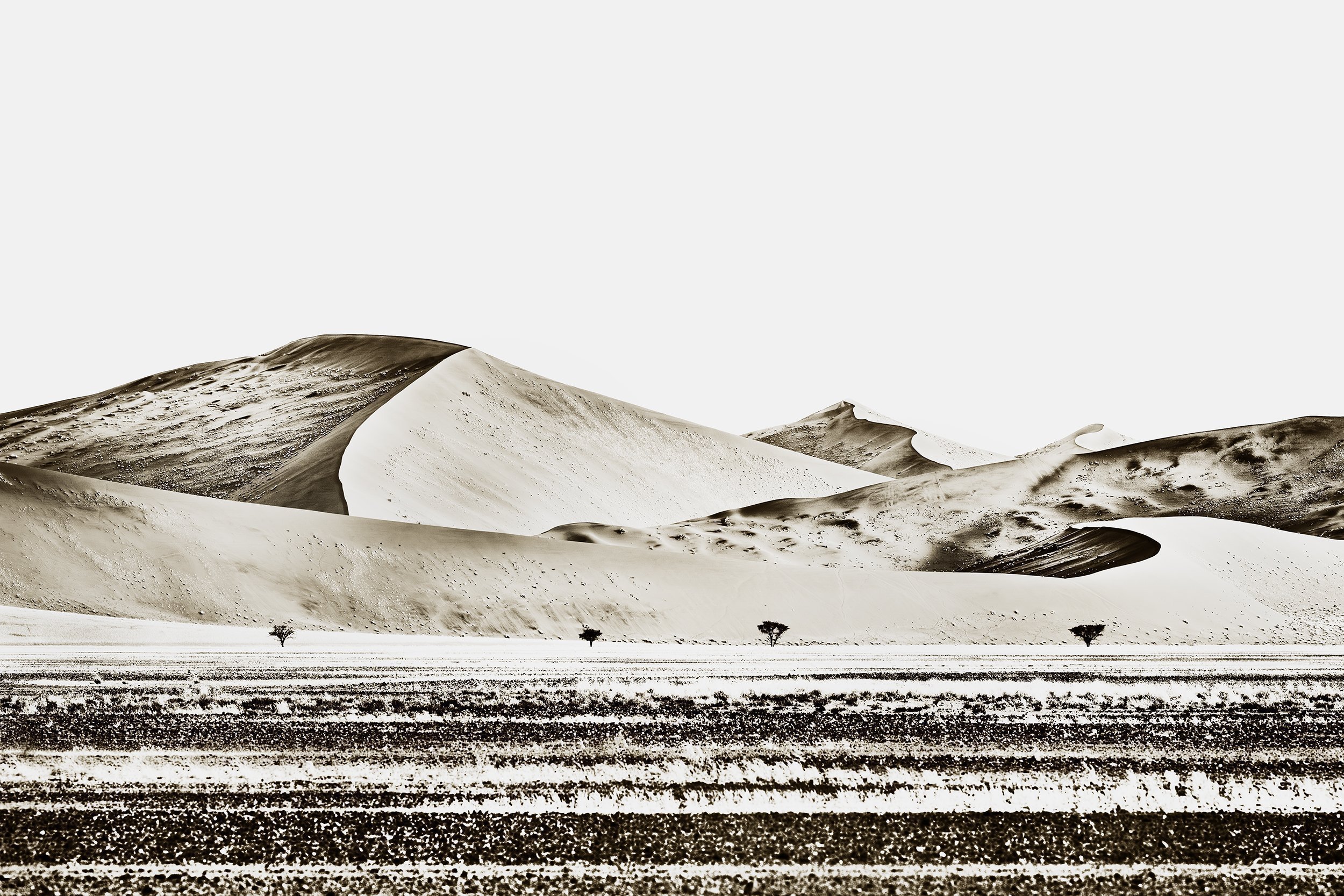 Sossusvlei 5
