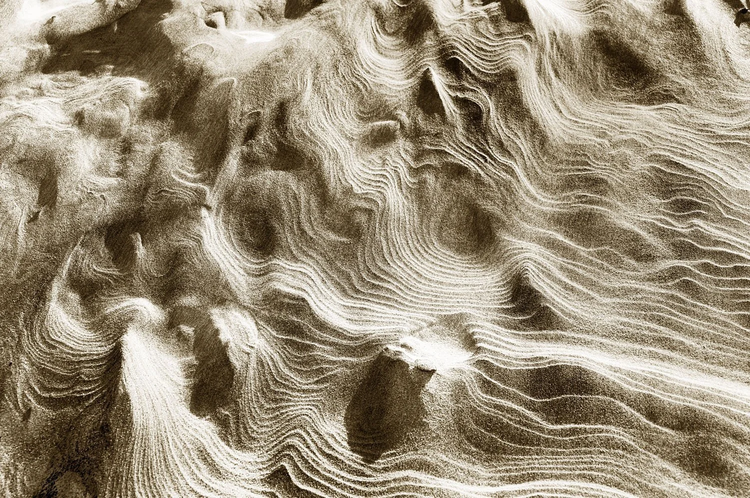 Wharariki 4
