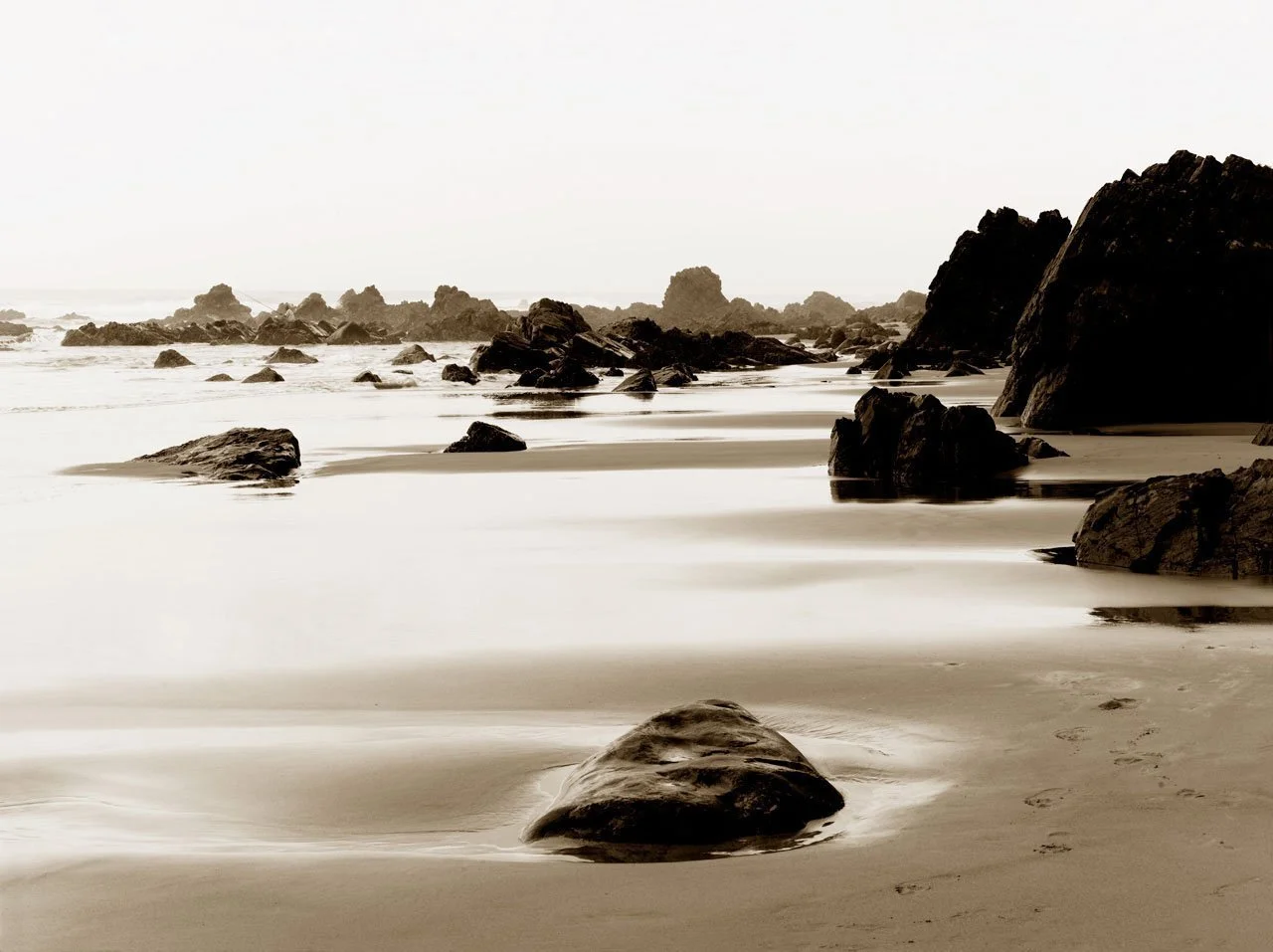 Wild Coast