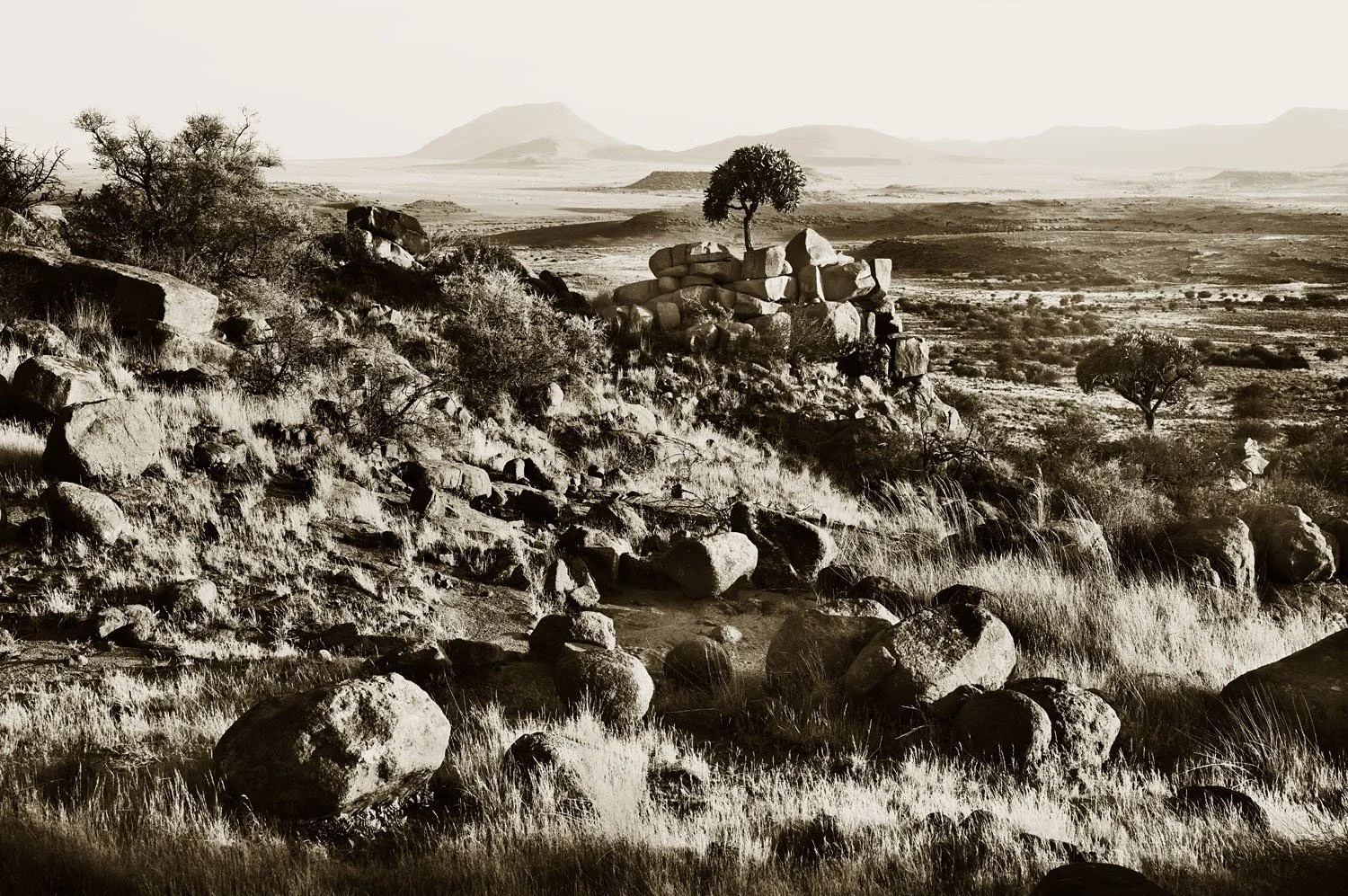 Karoo Ridge