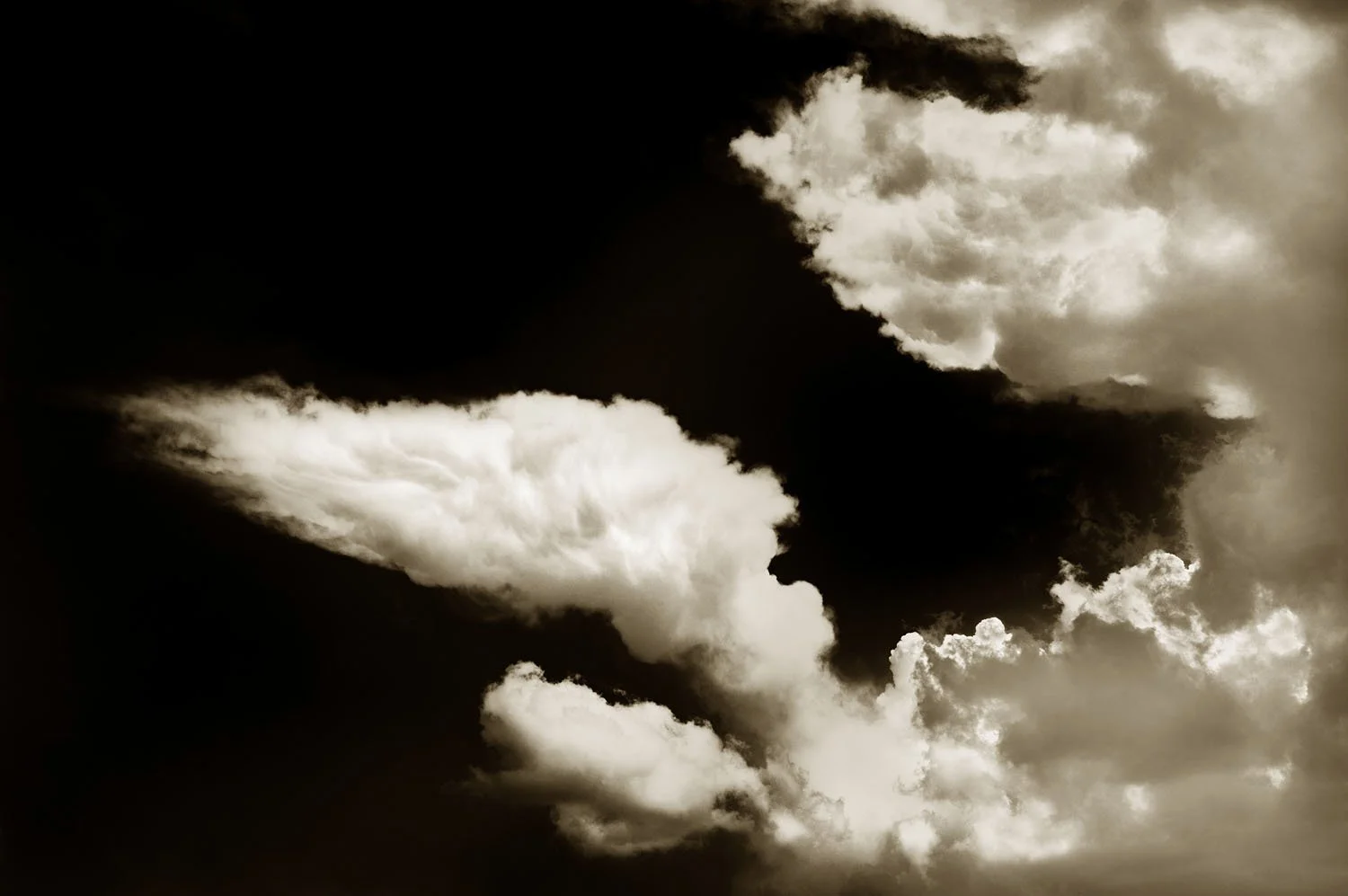Blowin' in the Wind
