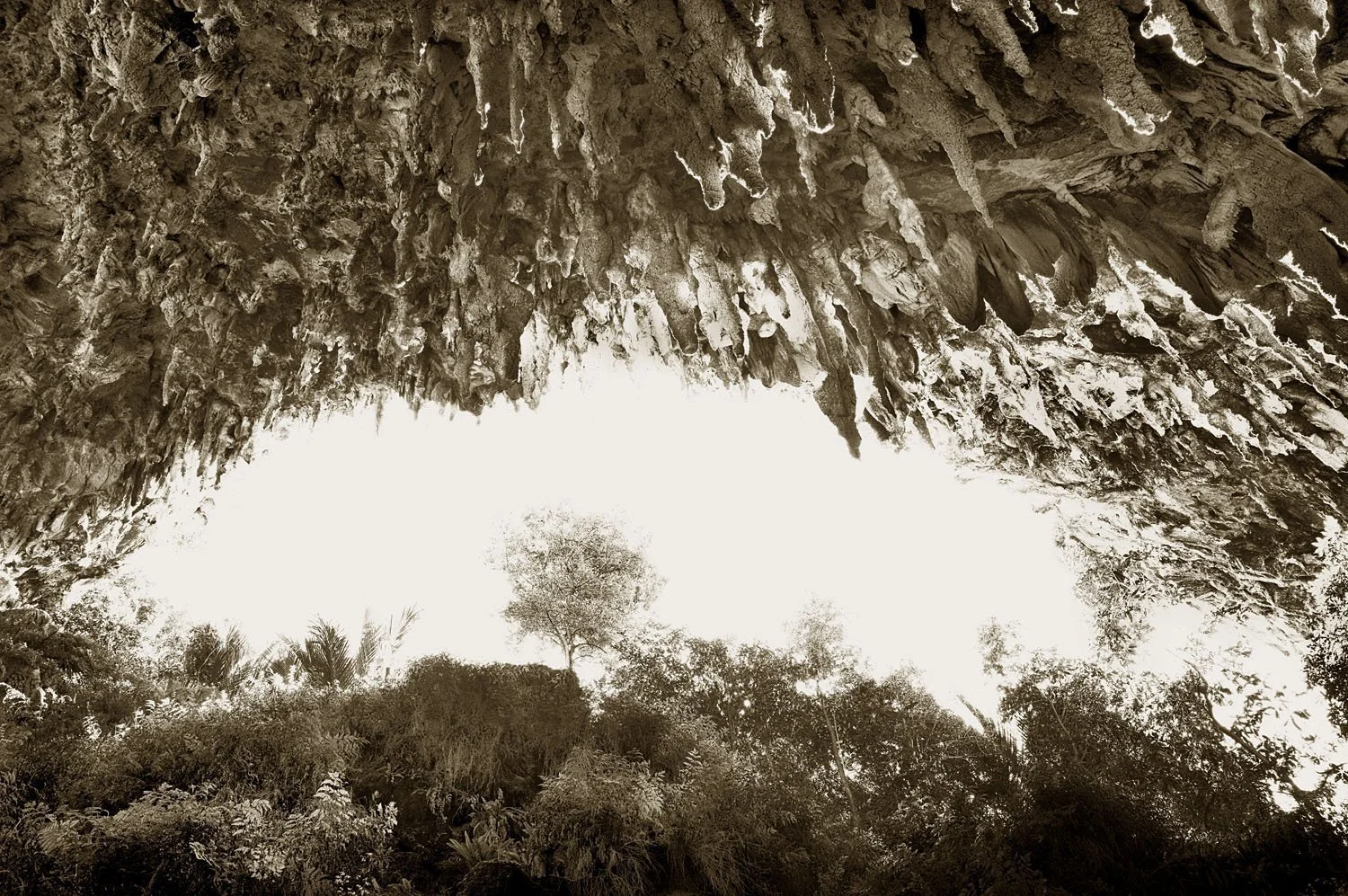 Rawhiti Cave 2