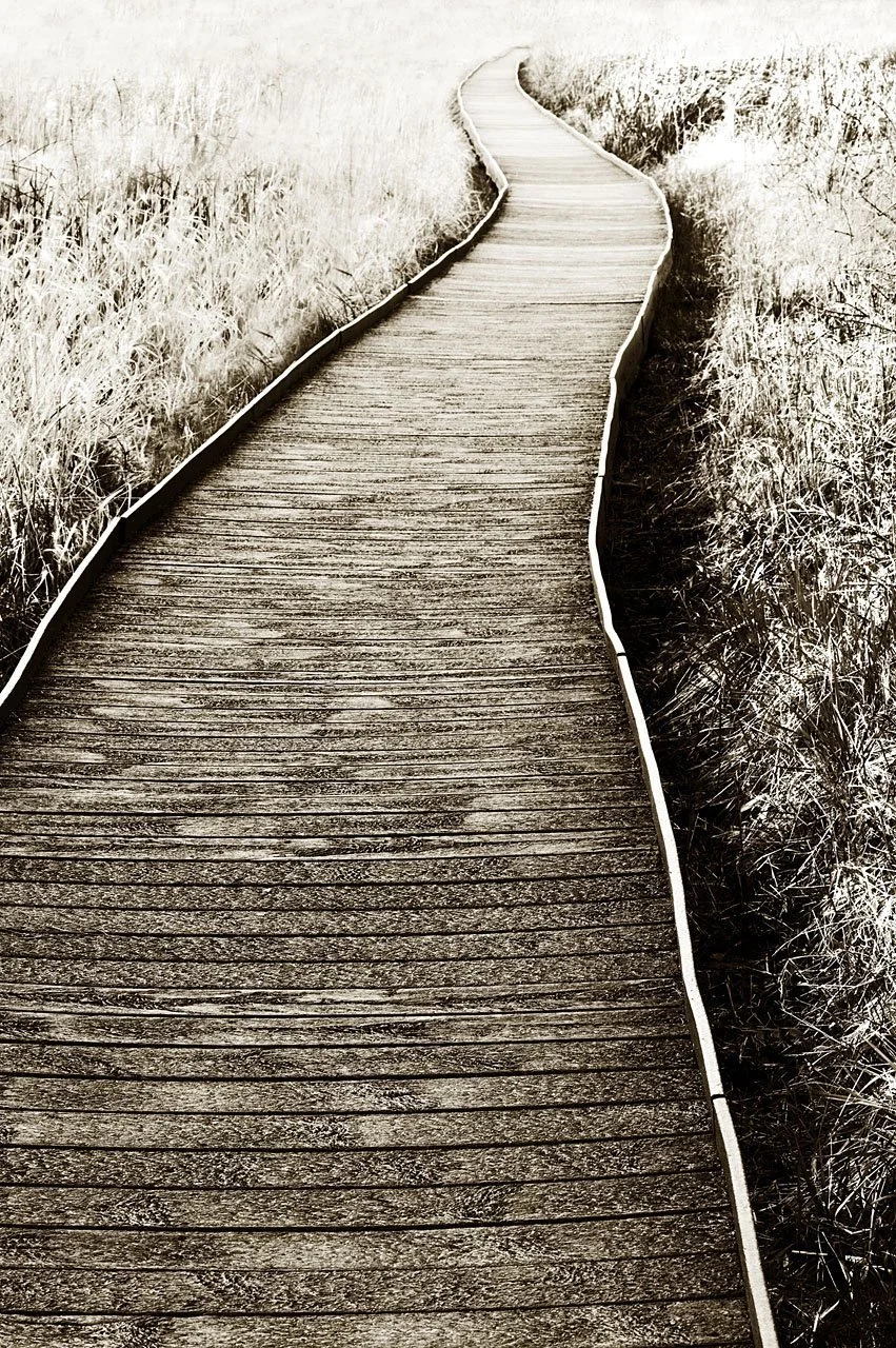 Boardwalk 