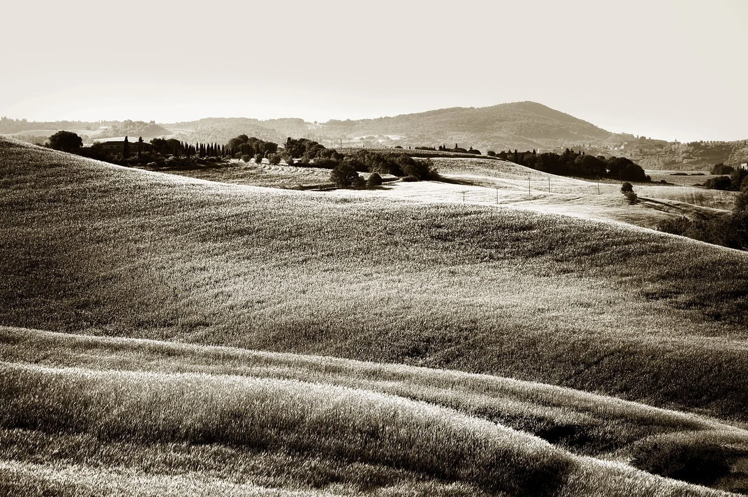 Asciano