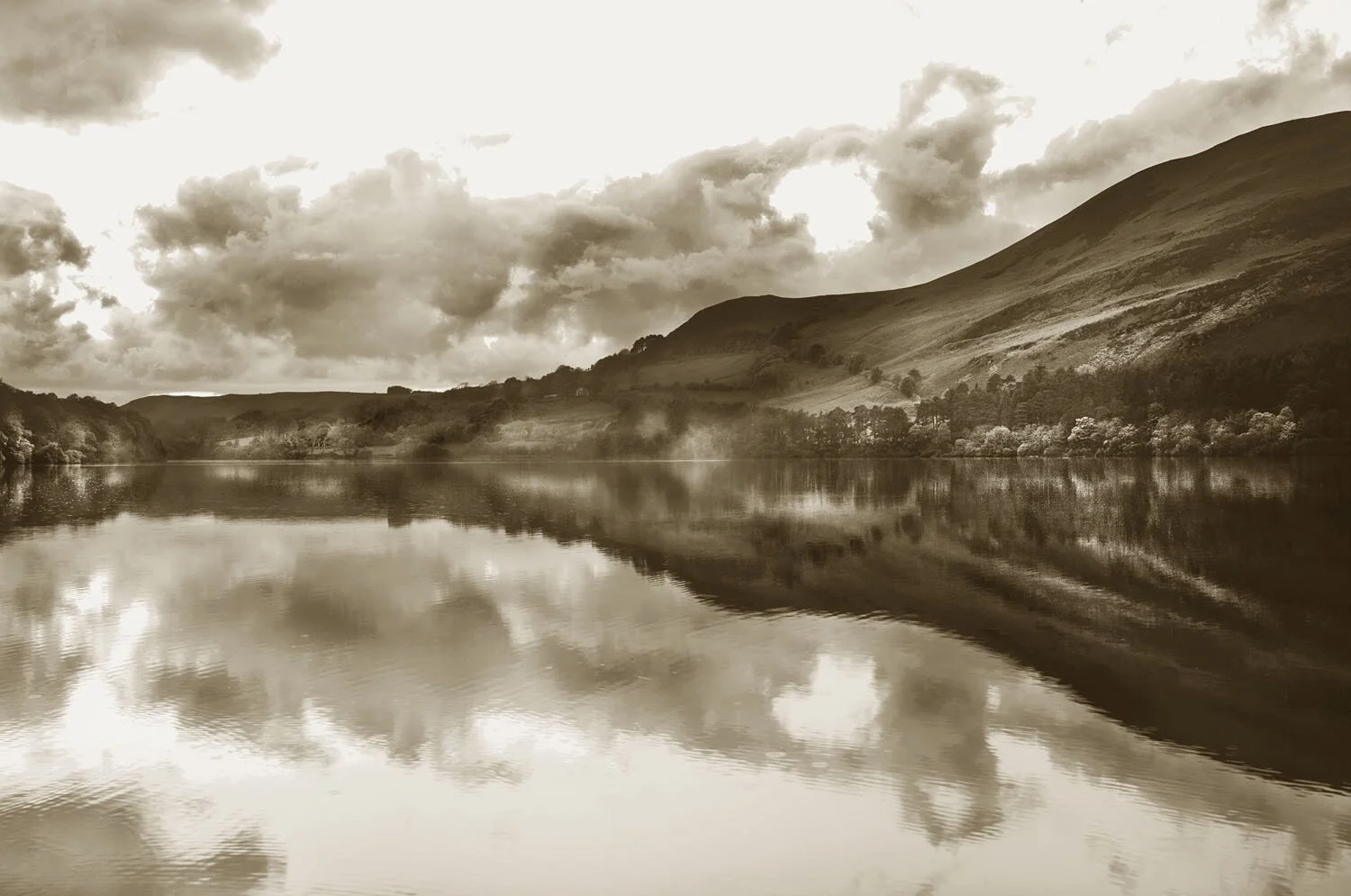 dare.bloomers.nasal