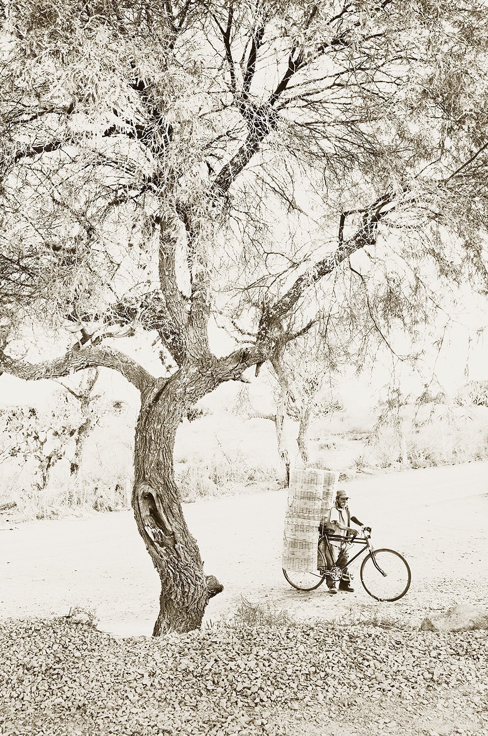 Basket vendor