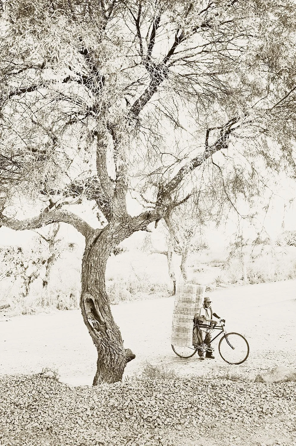 Basket vendor