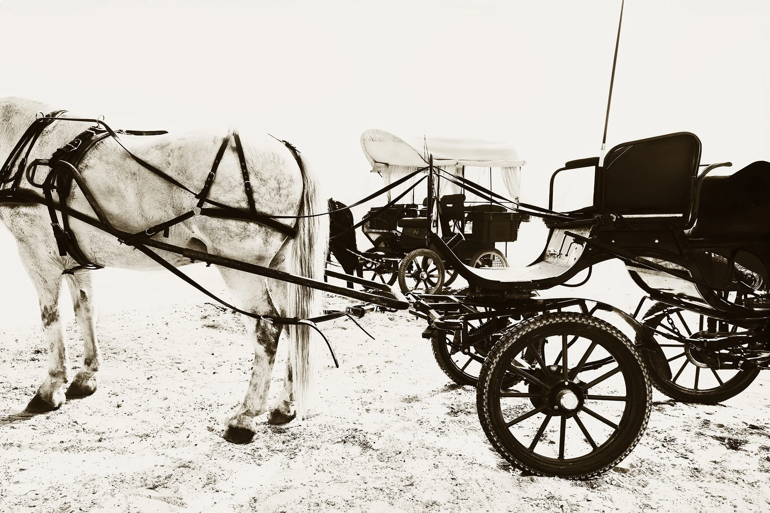 El Rocío 19