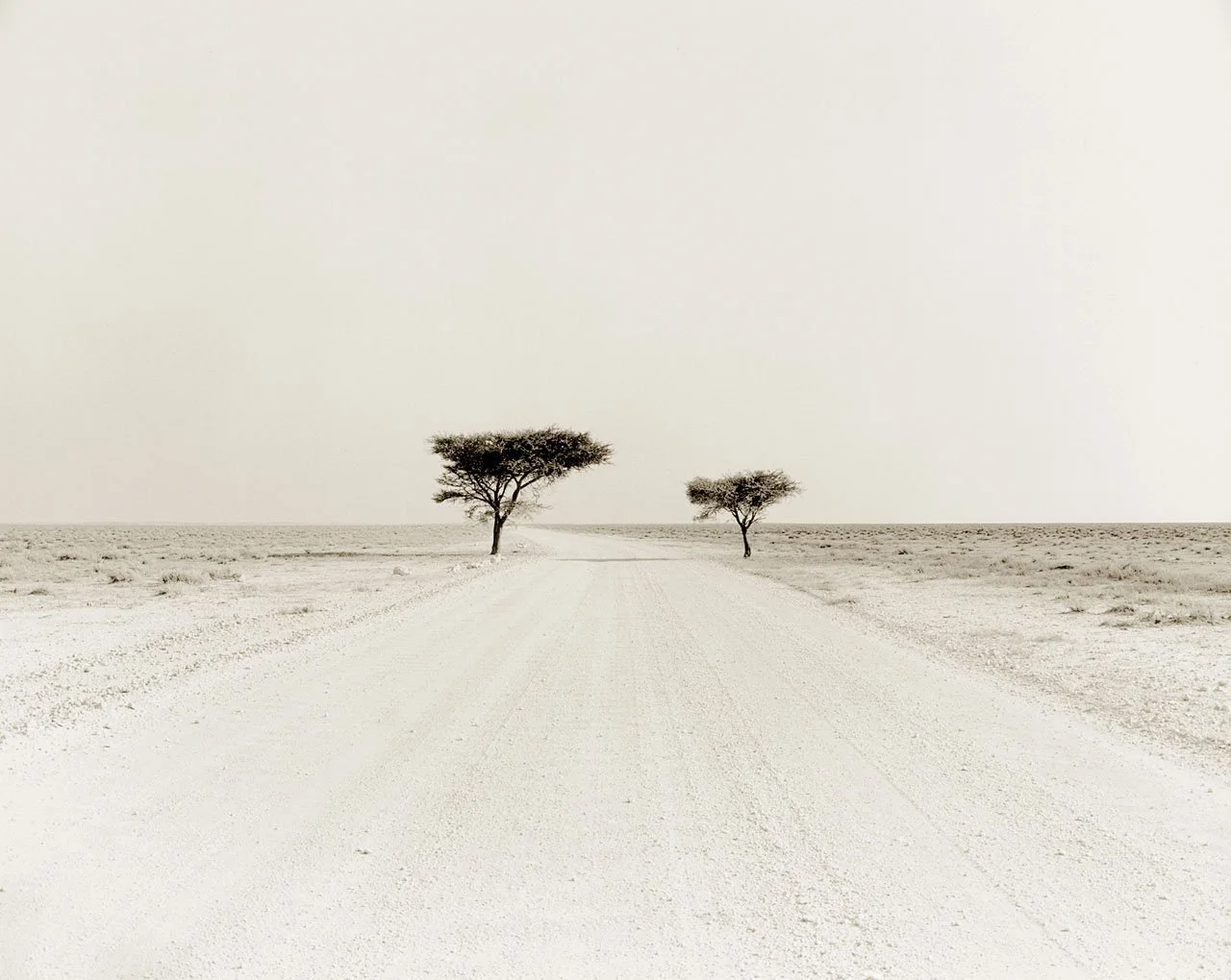Etosha