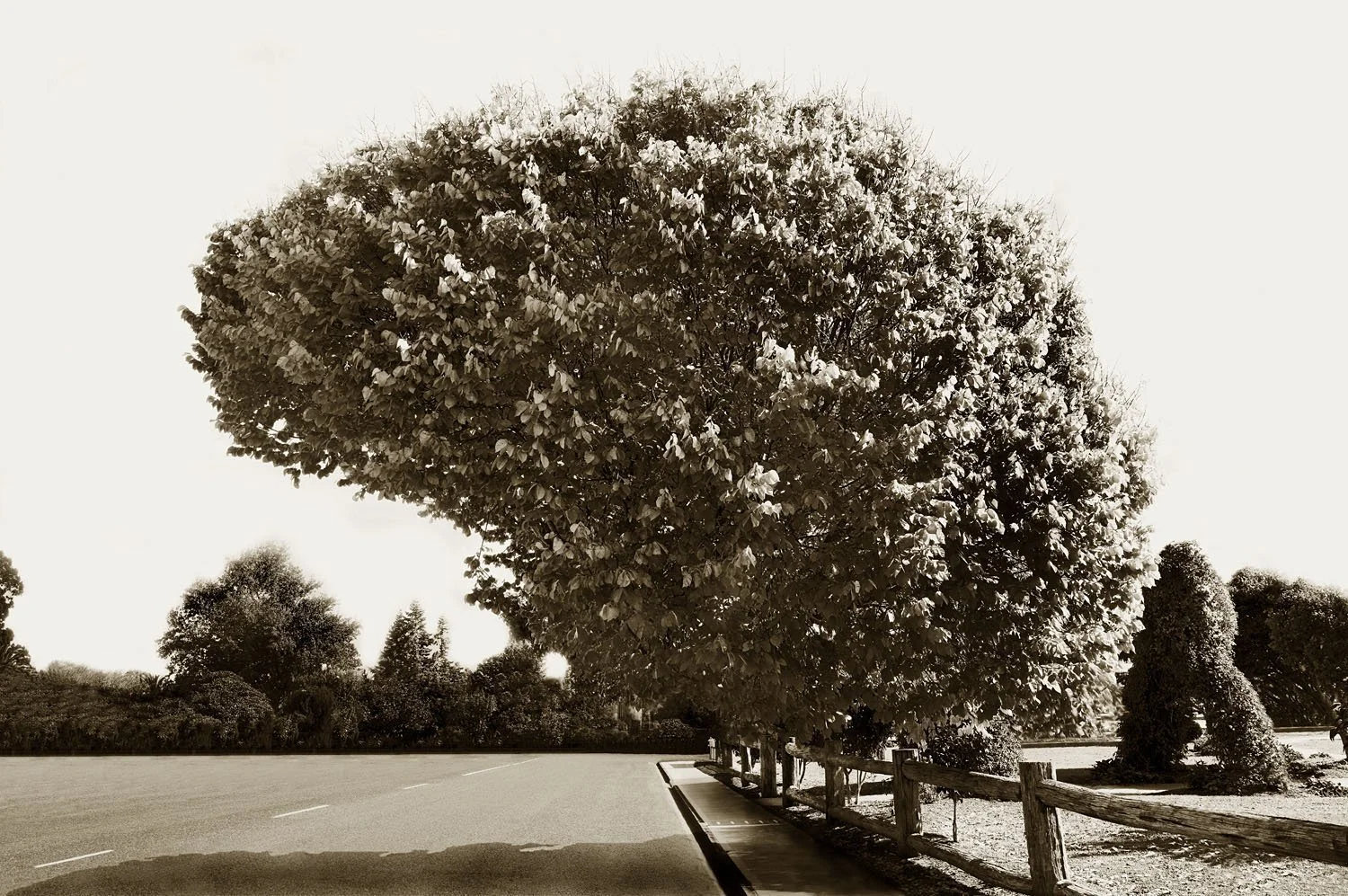 Motueka