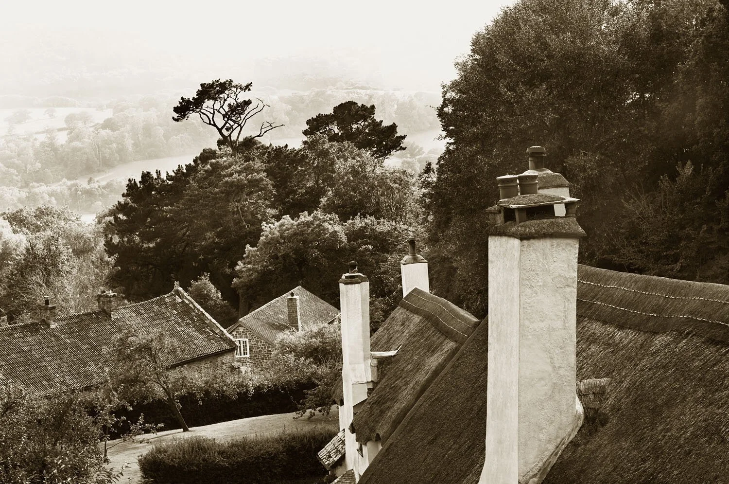 Selworthy