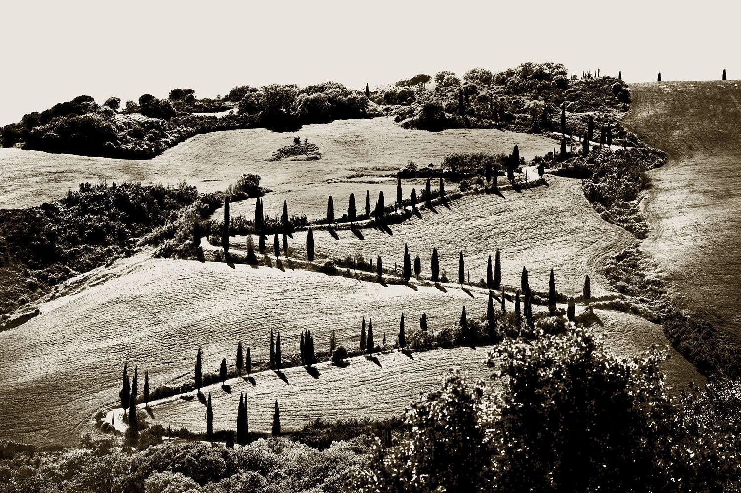 Val d'Orcia