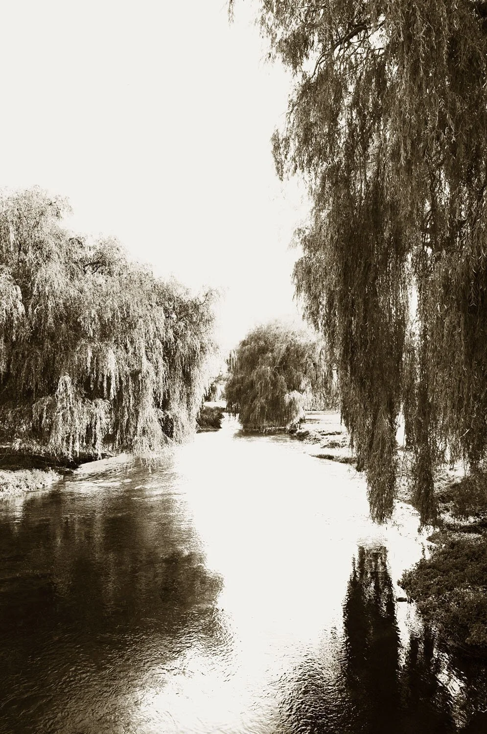 Great Stour