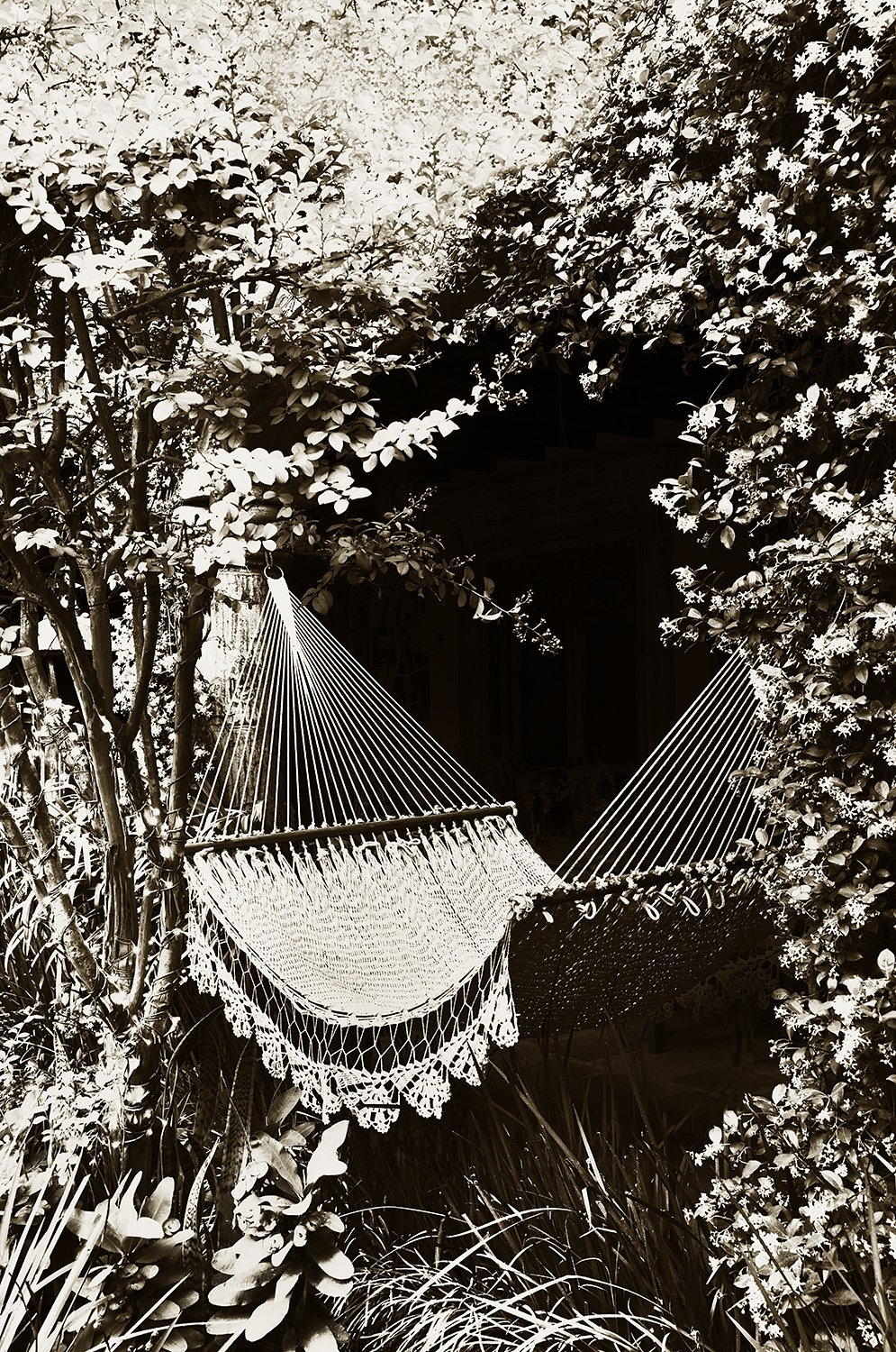Rafa's hammock