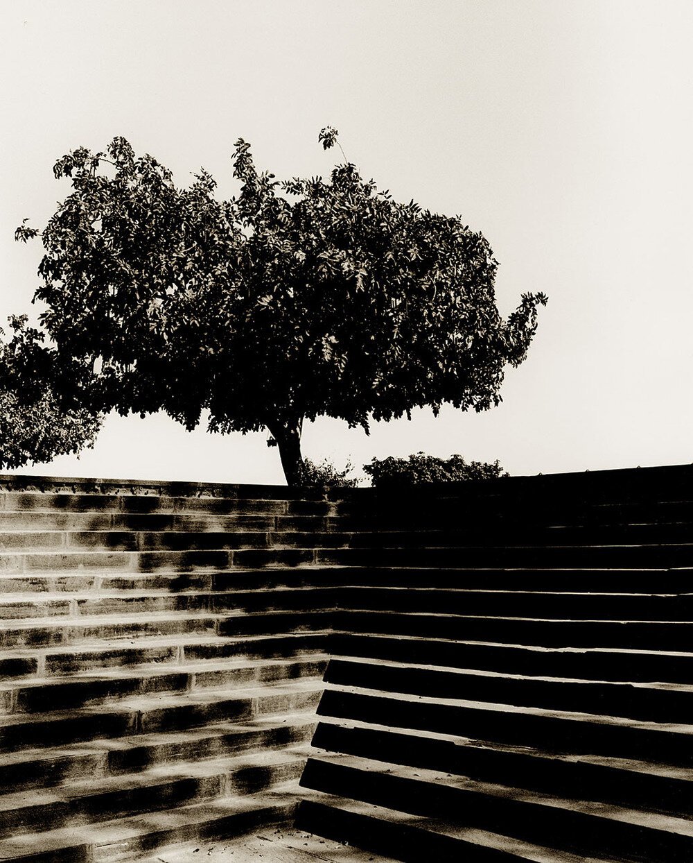 24 Steps