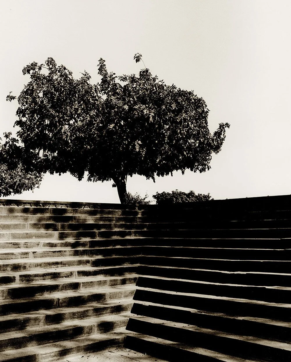 24 Steps