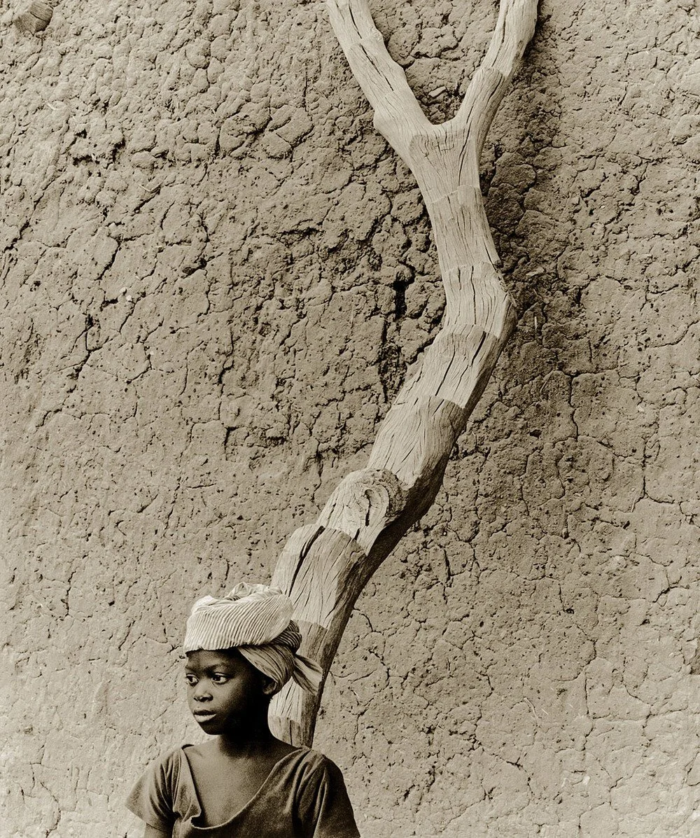 Ladder