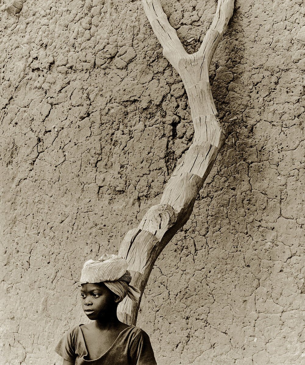 Ladder