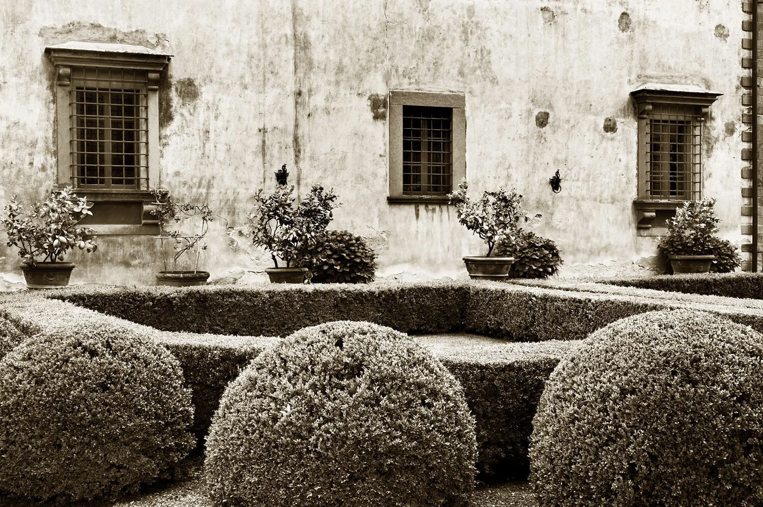 Vignamaggio